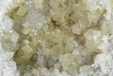 Keokuk Quartz Geode with Calcite Crystals - Iowa #144699-3